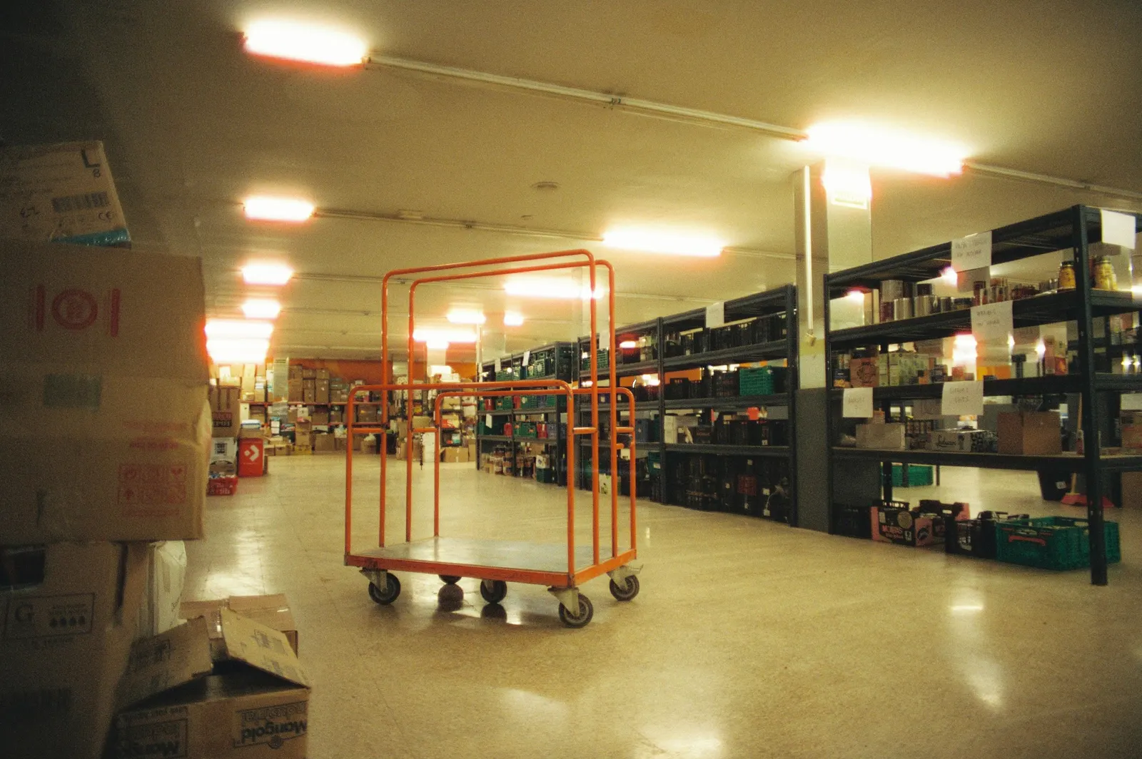 Warehouse shelving in a supply depot